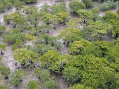 -北海金海湾红树林生态旅游区