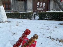 -和禄德冰糖葫芦