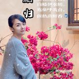 品鱼首选 | 湖北最热门鮰鱼生态餐厅-鮰归