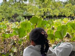 -四川大学(华西校区)