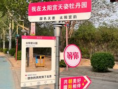 -太阳宫公园