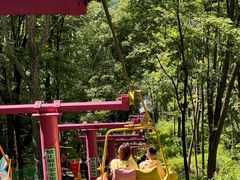 -帽儿山风景区