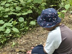 -五营红松林海景区