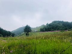 -驼梁风景区