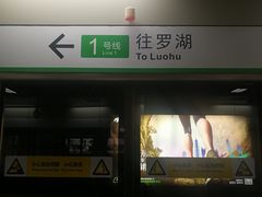 -竹子林(地铁站)