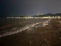 -野狸岛