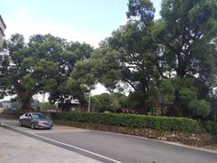 -叶挺将军纪念园