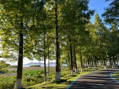 -东钱湖旅游度假区