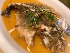 -巷语私房料理(华一实业大厦店)