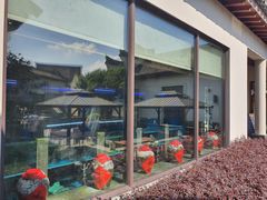 -宁波柏悦酒店·钱湖渔港