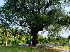 -三亚南山文化旅游区