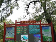 -北京鹫峰国家森林公园