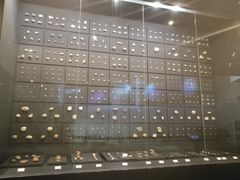 -北京周口店北京人遗址博物馆