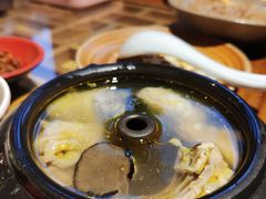 松露汽锅鸡-醉云喃