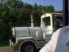 -南桥绿地铂骊酒店