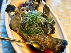 -明湖楼·经典鲁菜山东海鲜(大明湖店)