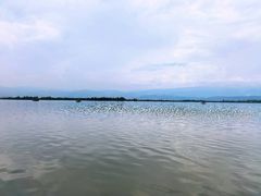 -西昌邛海湿地