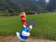 -靖西鹅泉风景区