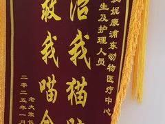 -爱妮康宠物医院·干细胞免疫细胞·肿瘤·心脏(张江店)