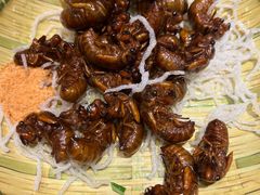 -鸽子窝(宋庄店)