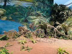 -自贡恐龙博物馆