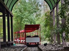 -合肥滨湖国家森林公园