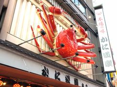 -蟹道乐(道顿堀本店)