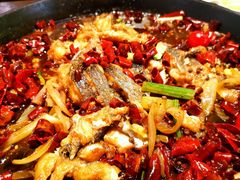 -老板恋上鱼(振华商厦店)