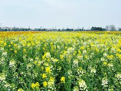 -中国天府农业博览园