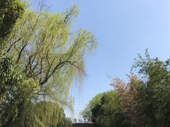 -昆山城市生态森林公园