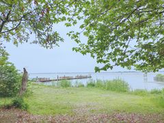 -莲花岛景区