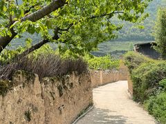 -萝卜寨羌文化生态旅游区