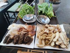 -蘑统田下·野生菌火锅