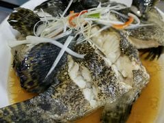 清蒸石斑鱼-阿弟特色海鲜餐厅·大排档(平潭店)
