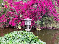 -深圳国际园林花卉博览园