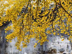 -无锡惠山寺
