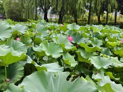 -浙江农林大学(东湖校区)