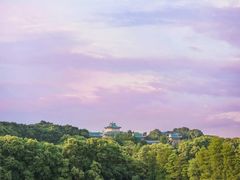 -武汉大学-樱园