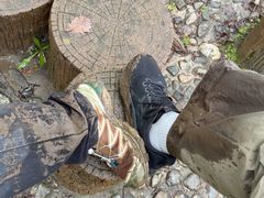 -牛背梁国家森林公园