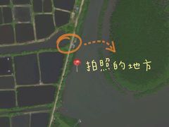 -东寨港红树林旅游区