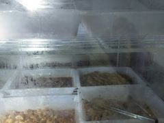 -川魂帽牌货冒菜(月东街店)