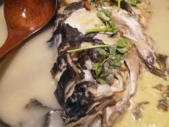 -千稻剁椒大鱼头(CityOn熙地港店)