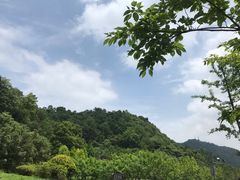 -贵阳市花溪国家城市湿地公园