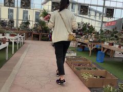 -三圣花乡旅游区