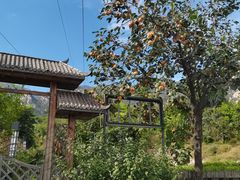 -北京凤凰岭