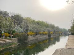 -元大都城垣遗址公园