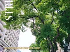-飞马旅黎黄陂路文旅街区