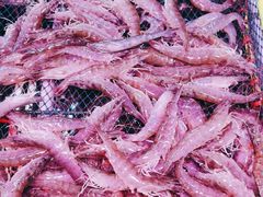 -锦绣大地生鲜食品厅