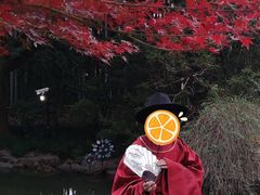 -汇龙潭