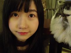 -喵园·猫主题咖啡厅·撸猫·猫咖(国贸店)